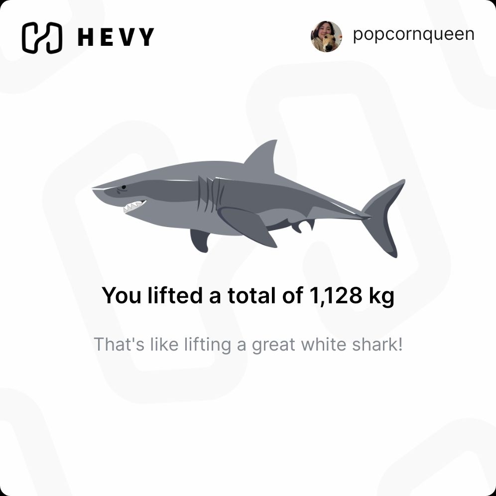 A cartoon drawing of a shark above the words:

You lifted a total of 1,128 KG

That's like lifting a great white shark!