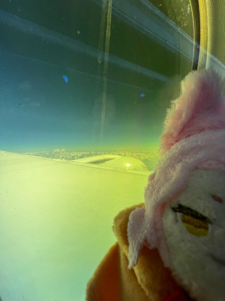 michi on the plane