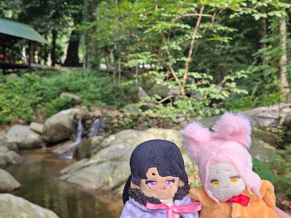 beanui and michinui at a Thailand national park