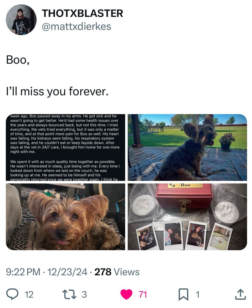 Screenshot of Matt Dierkes X Post about losing his dog Boo. 