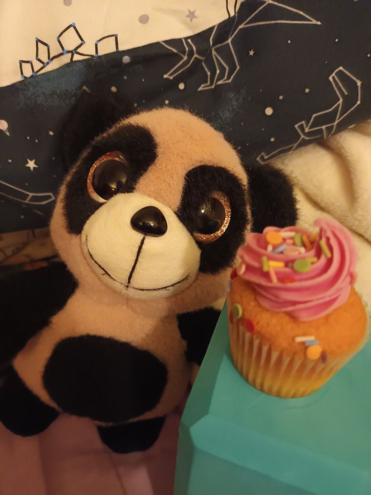 little happy panda plush next to a mini pink cupcake covered in sprinkles