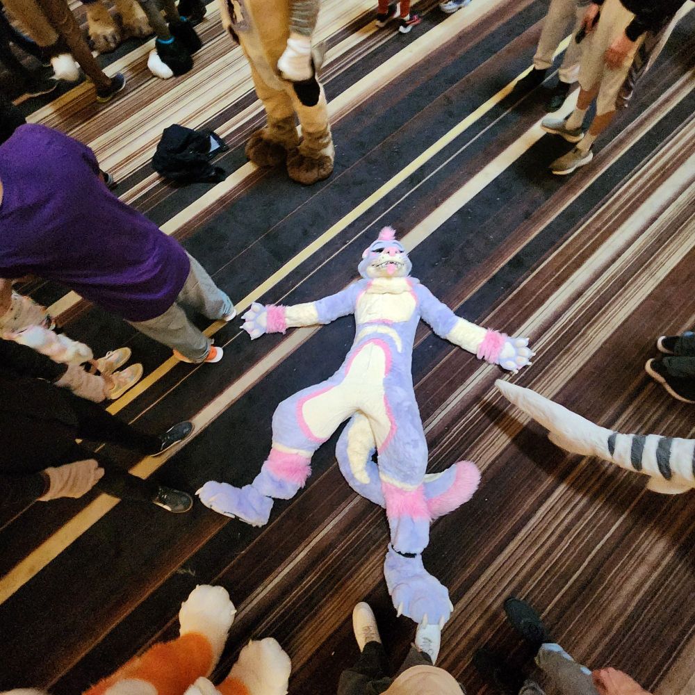 Jay is on the ground and absolutely glowing 