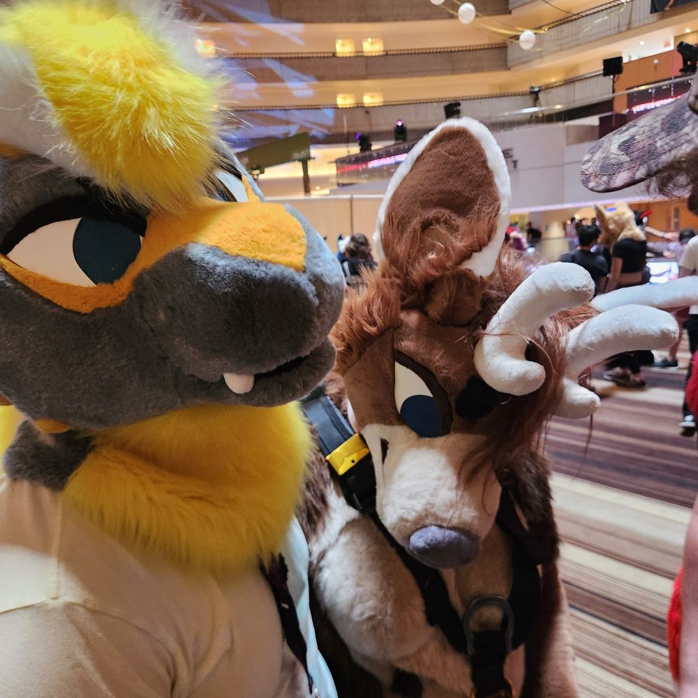 Couple of houndsteeth cuties