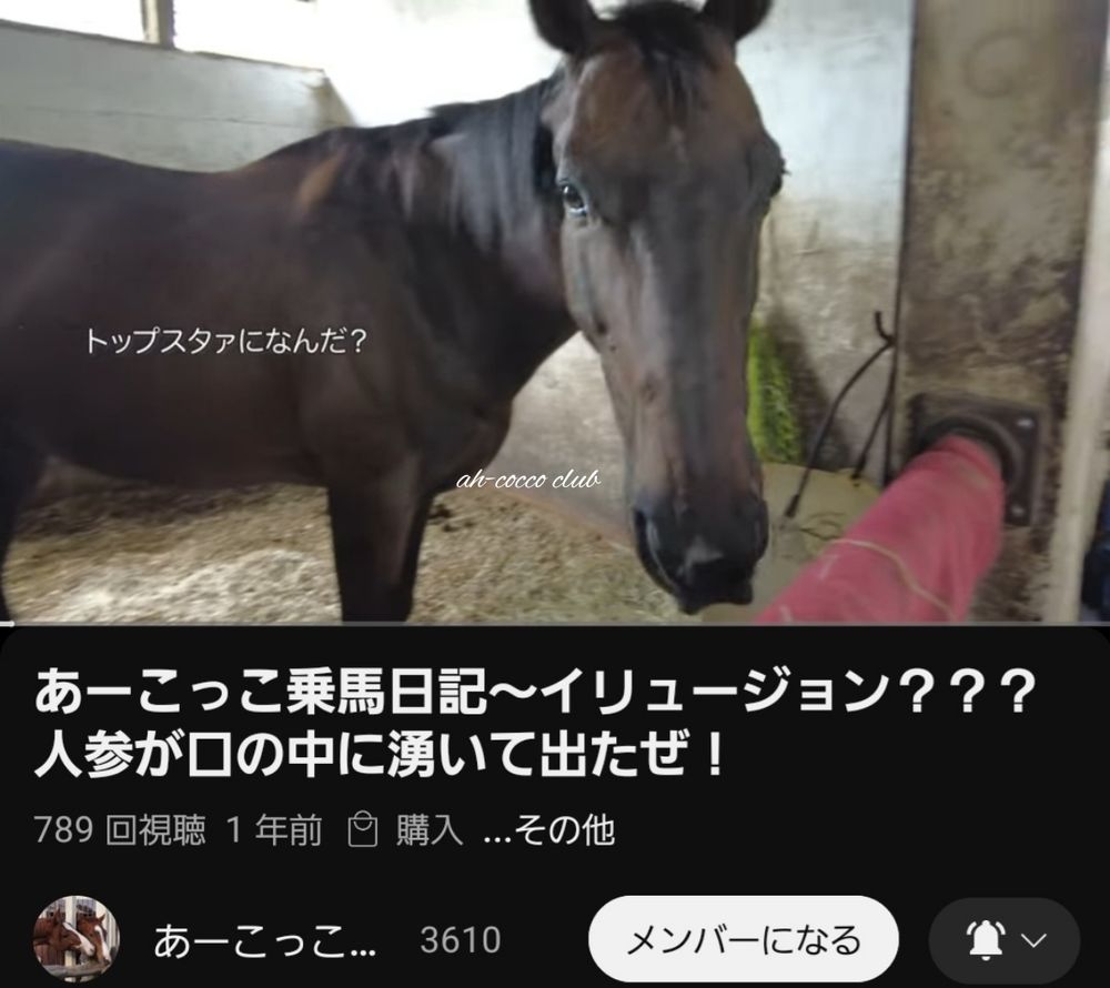 あーこっこクラブ【YouTube】🐴おねむなあーちゃん、クラブの皆様から可愛いの連発😴🥕