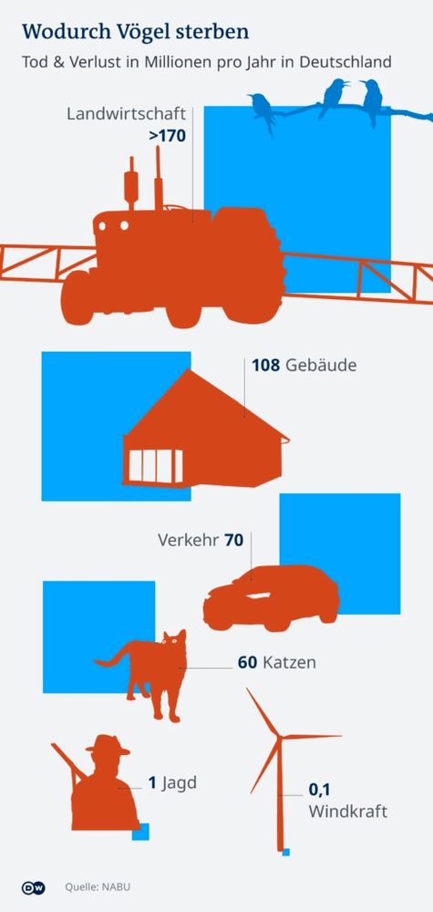 Grafik des NABU, wodurch Vögel sterben (in Millionen pro Jahr)
Landwirtschaft: mehr als 170
Gebäude: 108
Verkehr: 70
Katzen: 60
Jagd: 1
Windkraft: 0,1