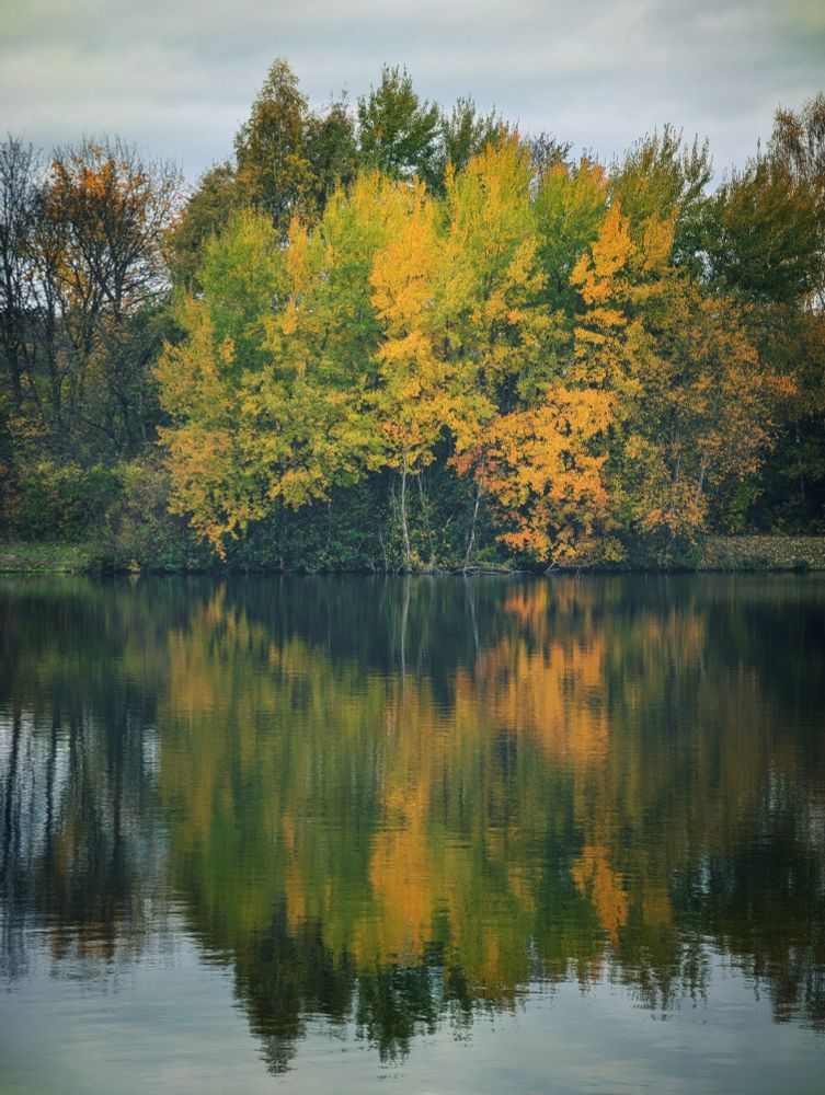 Ein Baum mit leuchtend gelben Blättern spiegelt sich im Wasser.