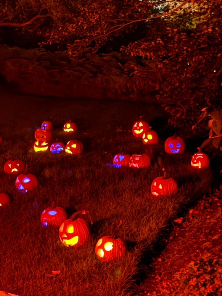 Grassy hill covered in glowing pumpkins carved with different grinning faces