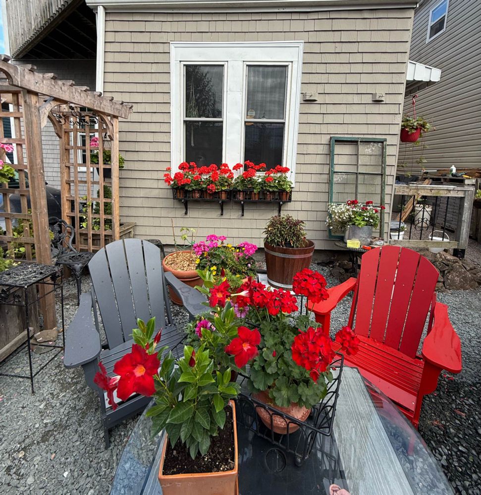 The ‘after’ shot of several hours work to clad window trim in aluminium flashing. Garden chairs and potted flowers in foreground. 
