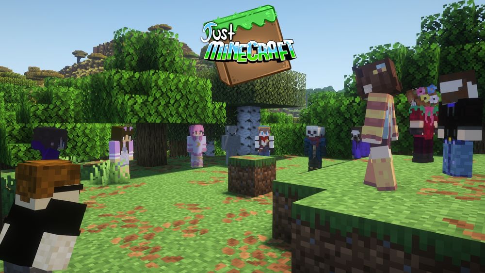 Members of Just Minecraft congregating on a newly made MC world