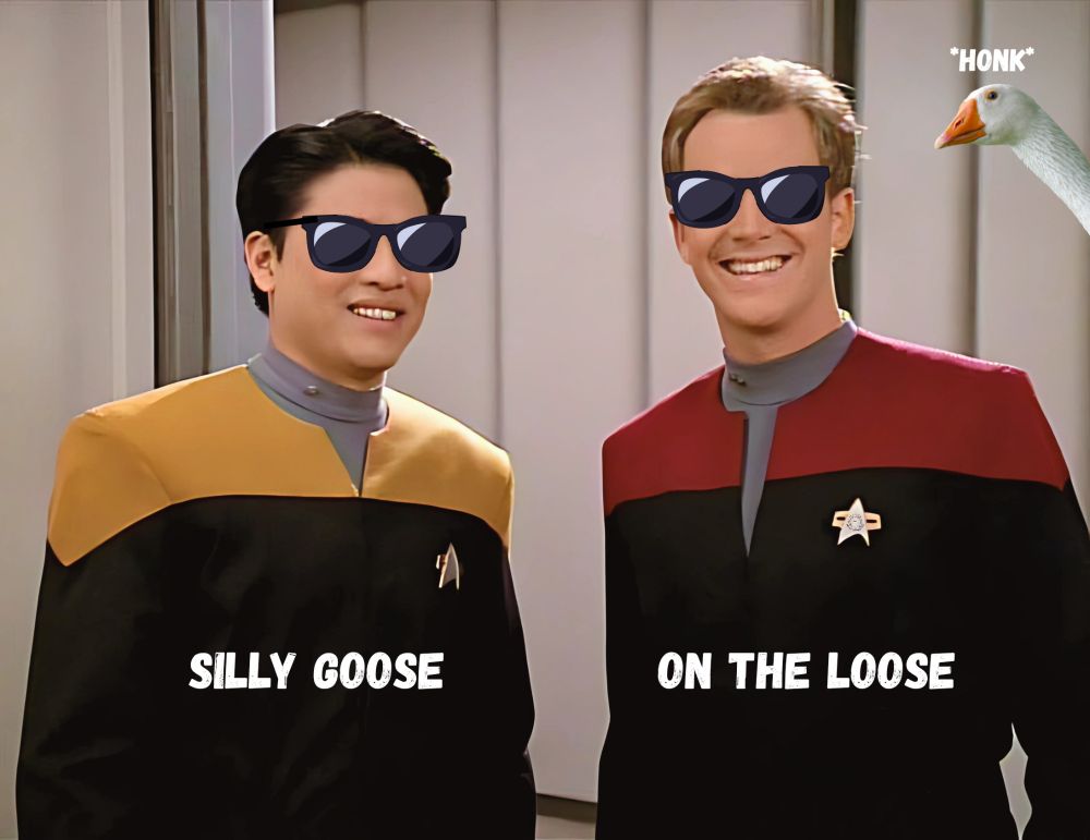 Single panel meme. Harry Kim is standing next to Tom Paris. Both are smiling and wearing sunglasses. Text on Harry: Silly Goose. Text on Tom: On the Loose. A white goose is sticking its head into the frame with the text honk. 