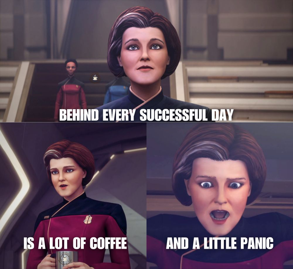 Three panel meme. Top image is Admiral Janeway looking straight forward. Bottom left image shows Admiral Janeway turned slightly left and holding a coffee mug. Bottom right is Admiral Janeway Witcher mouth agape looking surprised and panicked. Text: Behind every successful day is a lot of coffee and a little panic. 