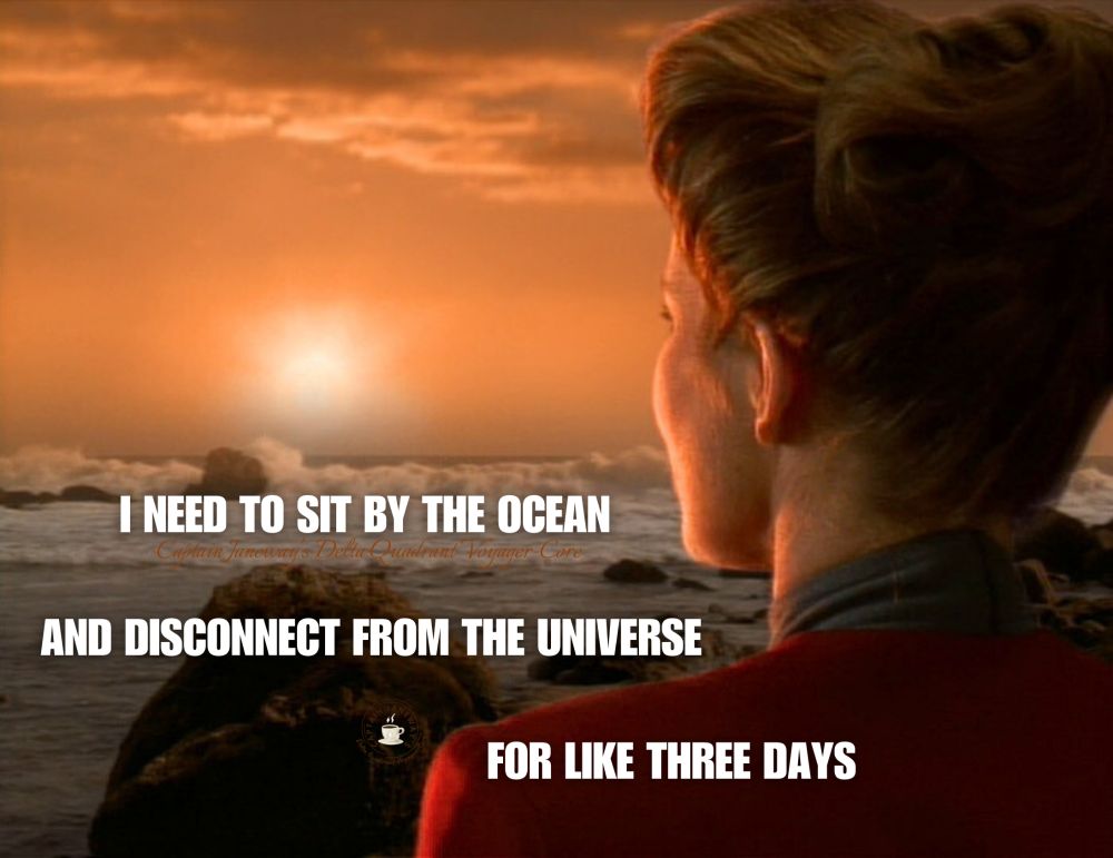 Image of Captain Janeway looking at the ocean with the sun low in the sky. Her back is to the camera. 
Text: I needto.sit by the ocean and disconnect from the universe for like three days. 