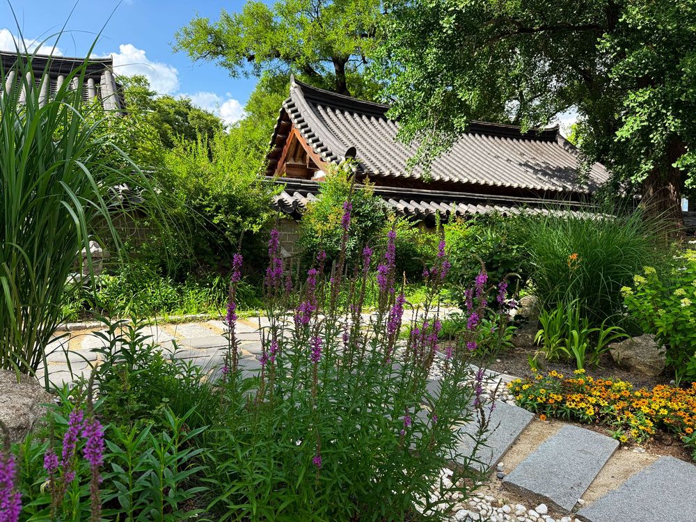 A view near Gyeonggijeon Shrine, Jeonju.