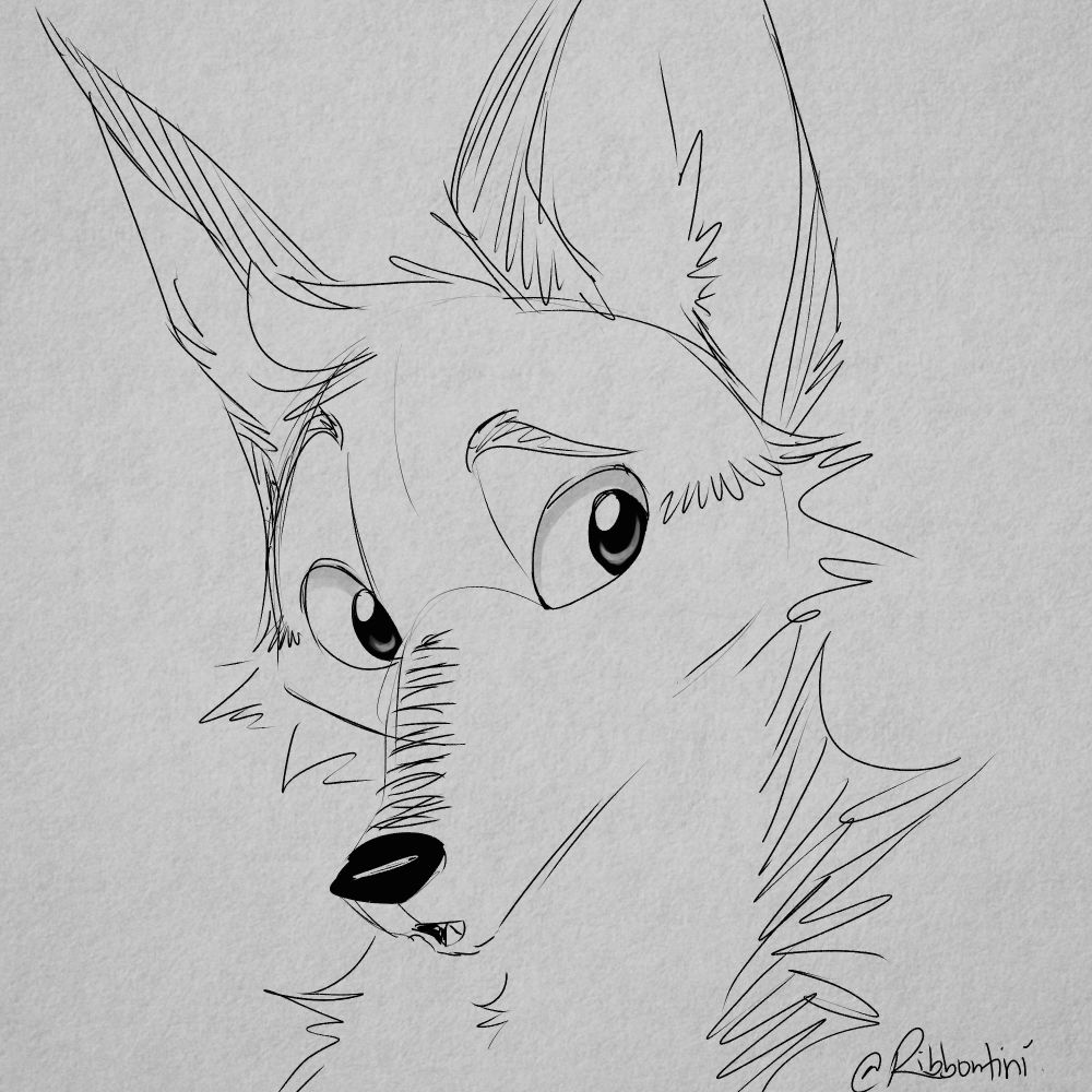 A sketch of my husband’s maned wolf character. His expression reads as inquisitive or curious!
