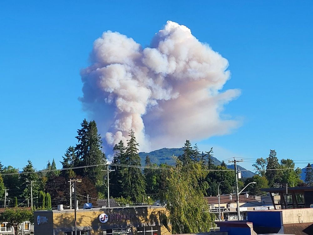 The BC Wildfire Service says a new, out of control wildfire is burning south of Port Alberni Monday night. The fire is in an area near China Creek, with the BC Wildfire Service (BCWS) saying shortly before 8 p.m., that the fire has grown to 50 hectares in size. Many people in the area are reaching out to CHEK News, reporting large plumes of smoke being visible. BCWS says the cause of the fire is under investigation.