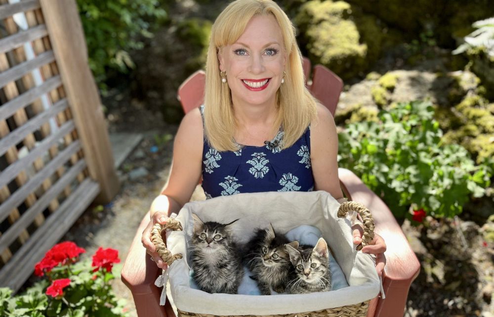Young kittens were rescued from a hot shed, and we also talk about rabies in a cat on Vancouver Island. Here's Tess van Straaten.