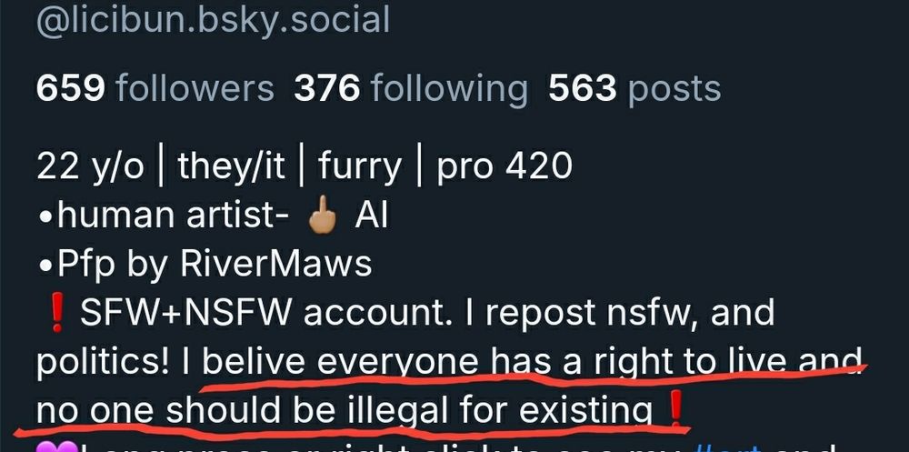 The underlined section reads: "i believe everyone has the right to live and noone should be illegal for existing"