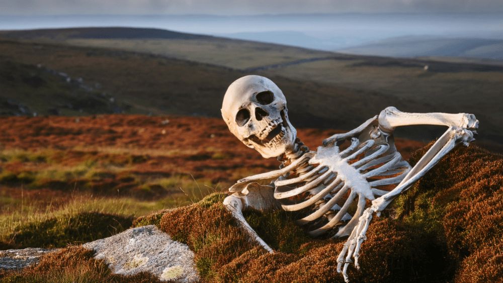 A skeleton lying on Dartmoor to provide a little Monday morning humour