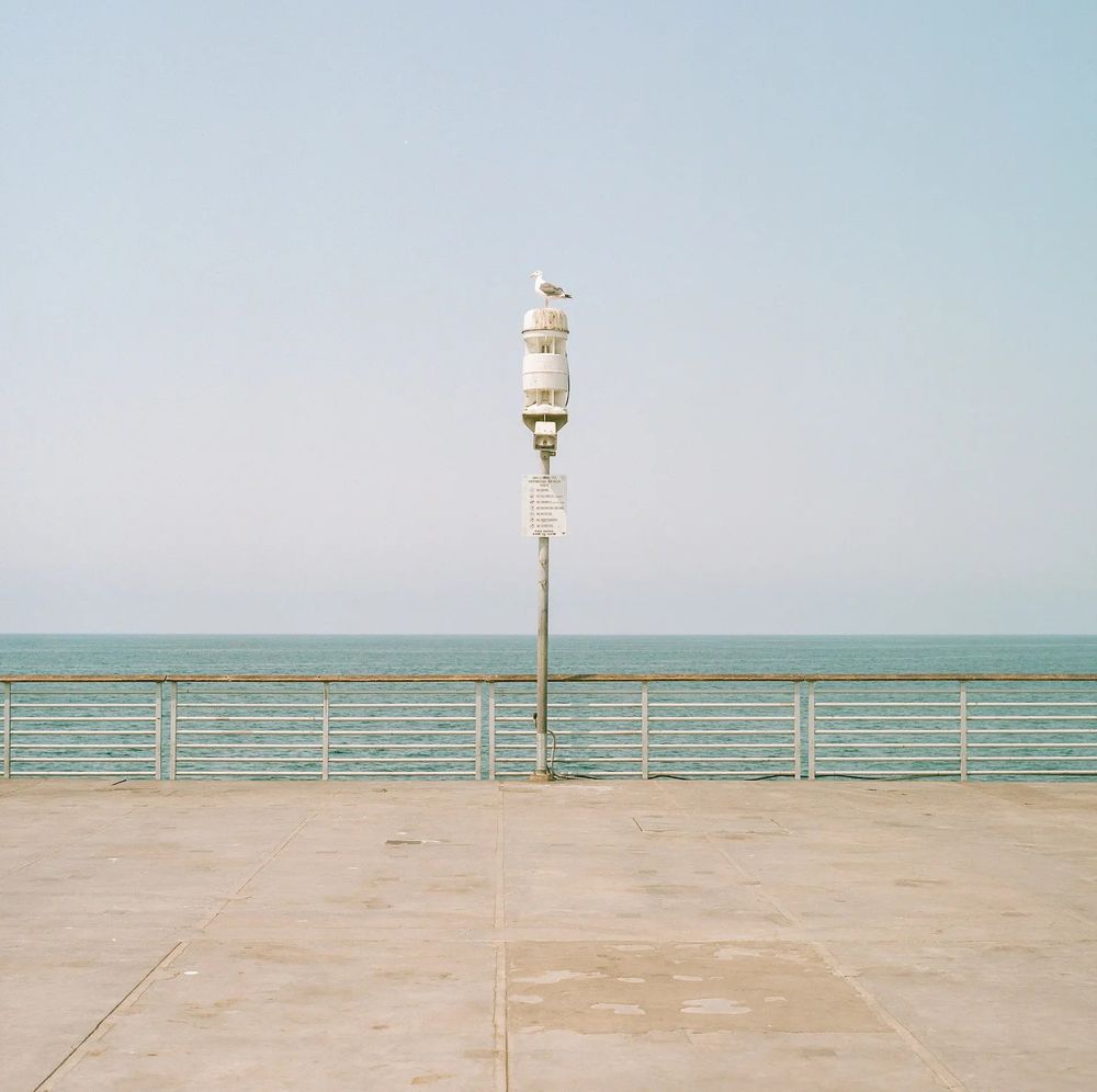 If Wes Anderson included this Hermosa Beach pier in one of his films. Symmetral light post, railing, seagull, pastel colors, calm sea.