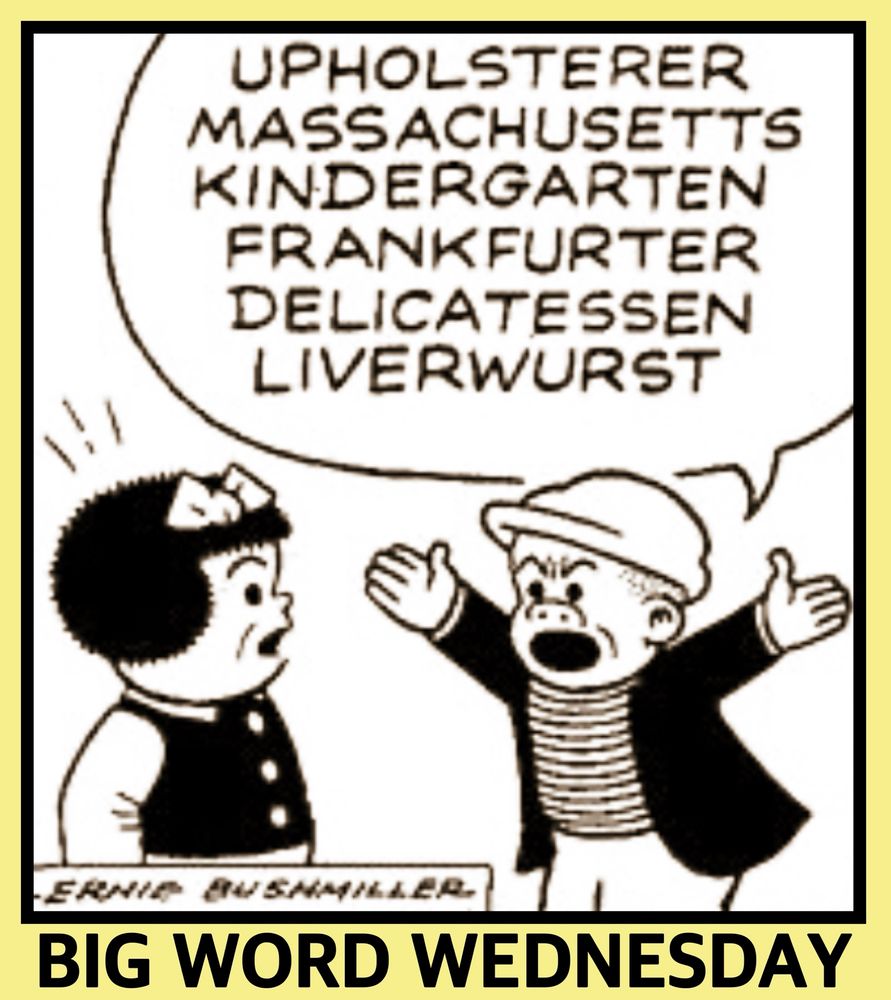 UPHOLSTERER MASSACHUSETTS KINDERGARTEN FRANKFURTER DELICATESSEN LIVERWURST

BIG WORD WEDNESDAY 

SLUGGO IS DEMONSTRATING TO NANCY, THAT HE IN FACT DOES HAVE BIG WORDS IN HIS VOCABULARY.