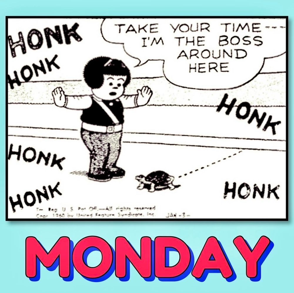 NANCY IS THE SCHOOL CROSSING GUARD, SHE STOPS THE TRAFFIC TO ALLOW A TURTLE TO CROSS THE ROAD
HONK HONK HONK HONK HONK HONK 