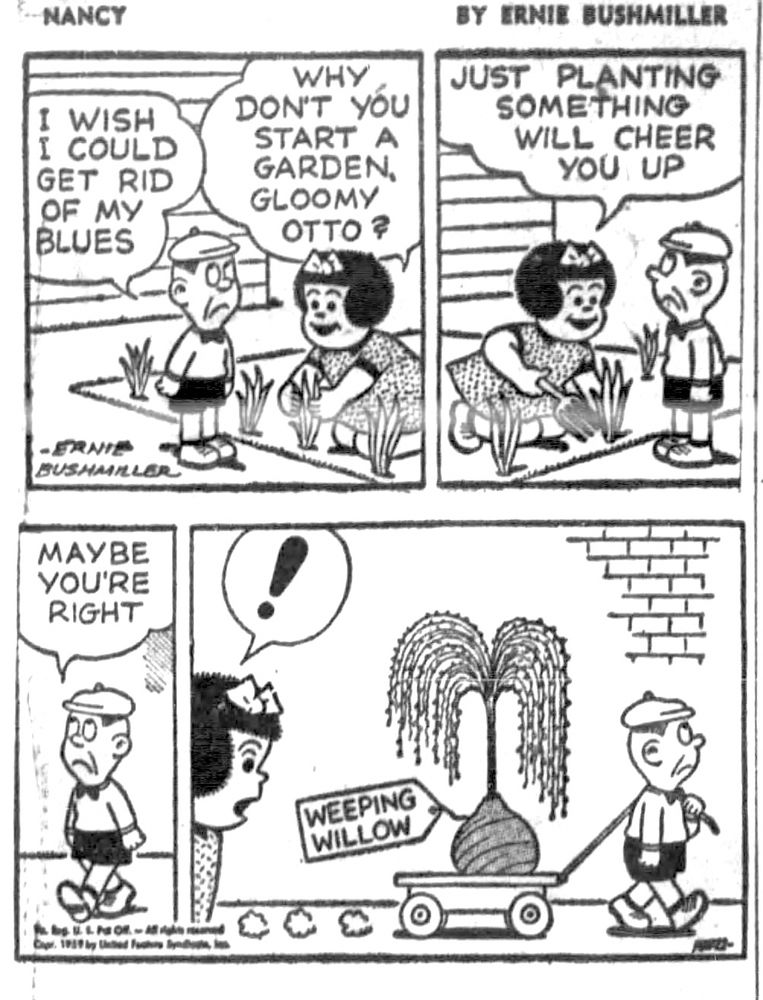 NANCY BY ERNIE BUSHMILLER 

I WISH I COULD GET RID OF MY BLUES 

WHY DON'T YOU START A GARDEN, GLOOMY ОТТО

JUST PLANTING
SOMETHING
WILL CHEER YOU UP

МАУВЕ
YOU'RE RIGHT

NANCY WAS SURPRISED BY GLOOMY OTTO’S CHOICE OF PLANT

LABEL -  WEEPING WILLOW 