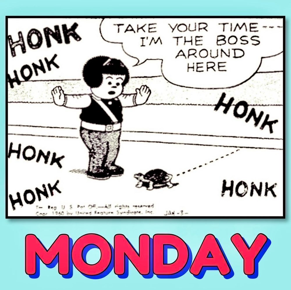 NANCY IS THE SCHOOL CROSSING GUARD, SHE STOPS THE TRAFFIC TO ALLOW A TURTLE TO CROSS THE ROAD
HONK HONK HONK HONK HONK HONK 
