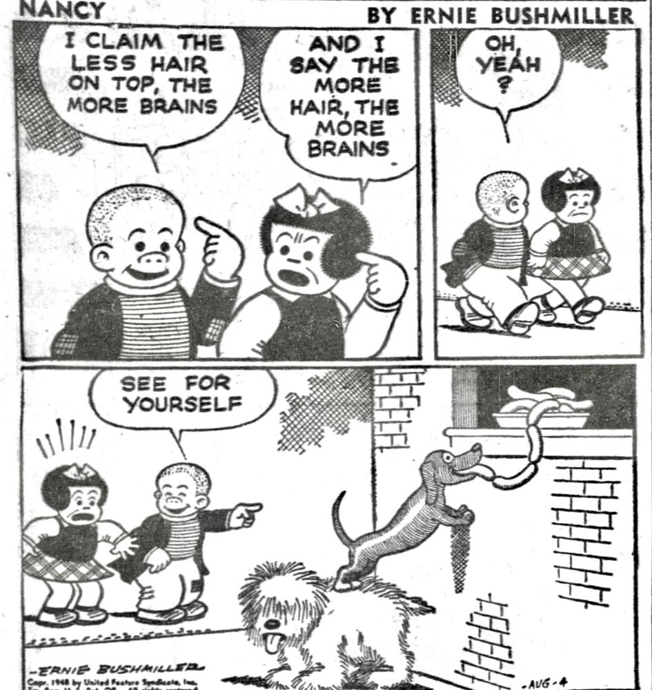 NANCY BY ERNIE BUSHMILLER 
P1-SLUGGO AND NANCY ARE HAVING A DISAGREEMENT 
SLUGGO : 
I CLAIM THE LESS HAIR ON TOP, THE MORE BRAINS
NANCY: - AND I SAY THE MORE
HAIR, THE MORE BRAINS
P2-SLUGGO:OH, YEAH?
P3-SLUGGO IS POINTING AND SAYS: SEE FOR YOURSELF 
A SHORT HAIRED DOG IS STANDING ON THE BACK OF A LONG HAIRED DOG, SO IT CAN REACH THE LINK SAUSAGE SITTING IN A WINDOWSILL