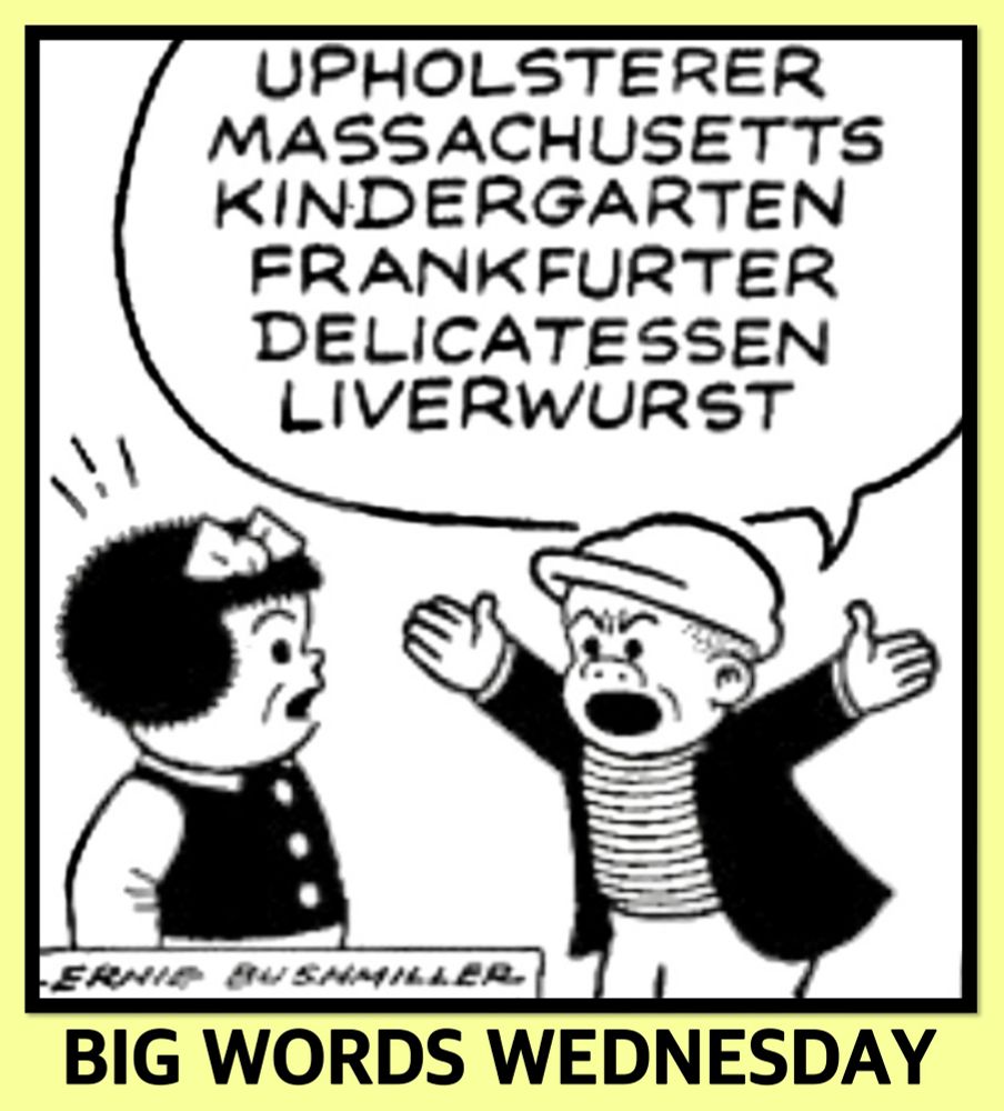 UPHOLSTERER
MASSACHUSETTS KINDERGARTEN FRANKFURTER DELICATESSEN LIVERWURST

BIG WORDS WEDNESDAY 
