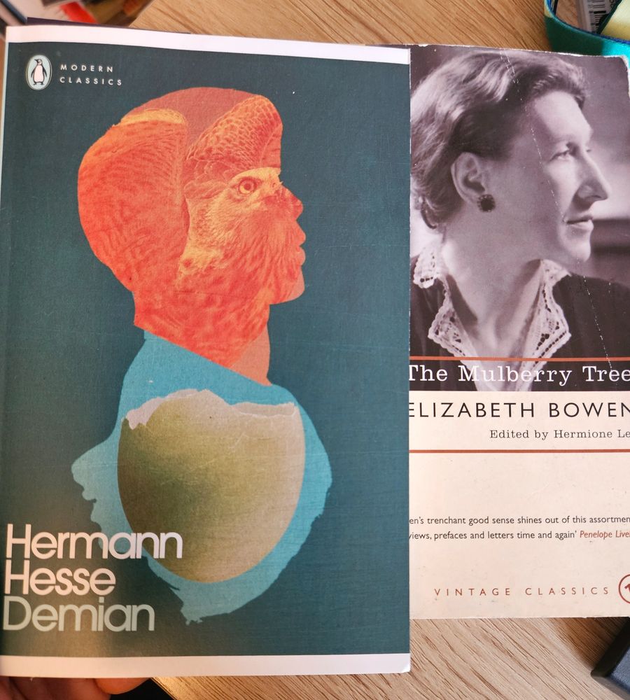 The front covers of 'Demian' by Hermann Hesse and 'The Mulberry Tree' by Elizabeth Bowen, the front covers of which both show faces in profile staring with engagement off to the side, beyond the book cover.