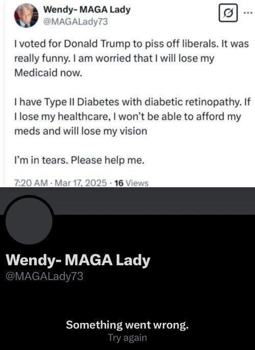 A screenshot from someone named 'Wendy- MAGA Lady' who made a post. The post reads, "I voted for Donald Trump to piss of liberals. It was really funny. I am worried that I will lose my Medicaid now. I have Type II Diabetes with diabetic retinopathy. If I lose my healthcare, I won't be able to afford my beds and will lose my vision. I'm in tears. Please help me."