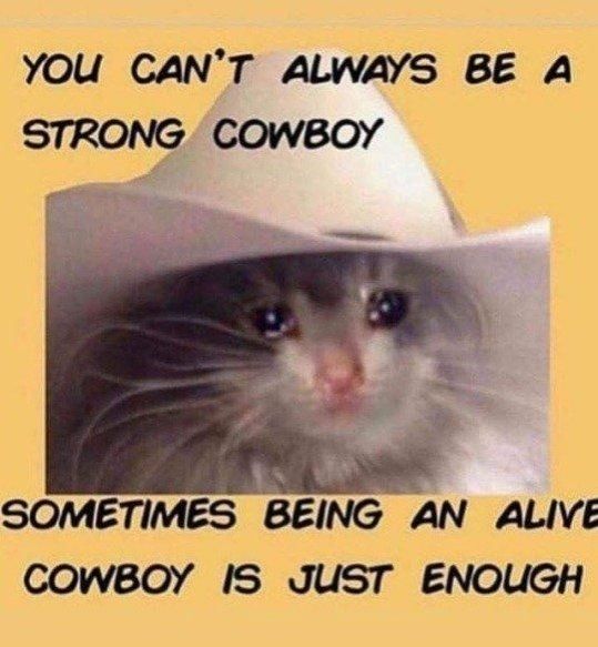 A small kitten wearing a cowboy hat. The top caption reads "you can't always be a strong cowboy". The bottom caption reads "sometimes being an alive cowboy is just enough"