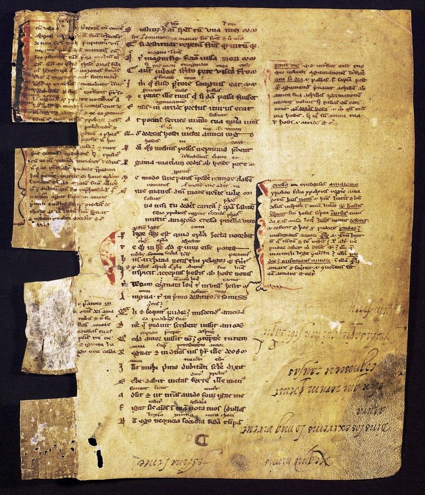 An fragment of Ovid's text that had been reused in the binding of a later manuscript. The manuscript was visibly cut to be inserted in the binding. The text is organized in three uneven columns. It features probae pennae.