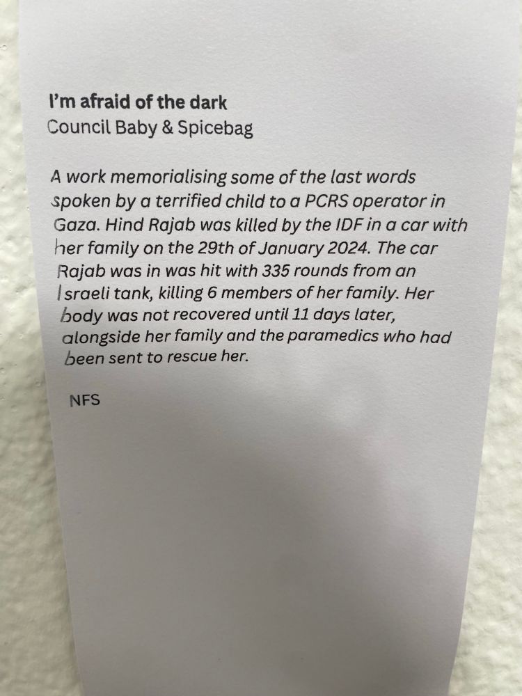 I'm afraid of the dark
Council Baby & Spicebag
A work memorialising some of the last words spoken by a terrified child to a PCRS operator in Gaza. Hind Rajab was killed by the IDF in a car with her family on the 29th of January 2024. The car Rajab was in was hit with 335 rounds from an Israeli tank, killing 6 members of her family. Her body was not recovered until 11 days later, alongside her family and the paramedics who had been sent to rescue her.