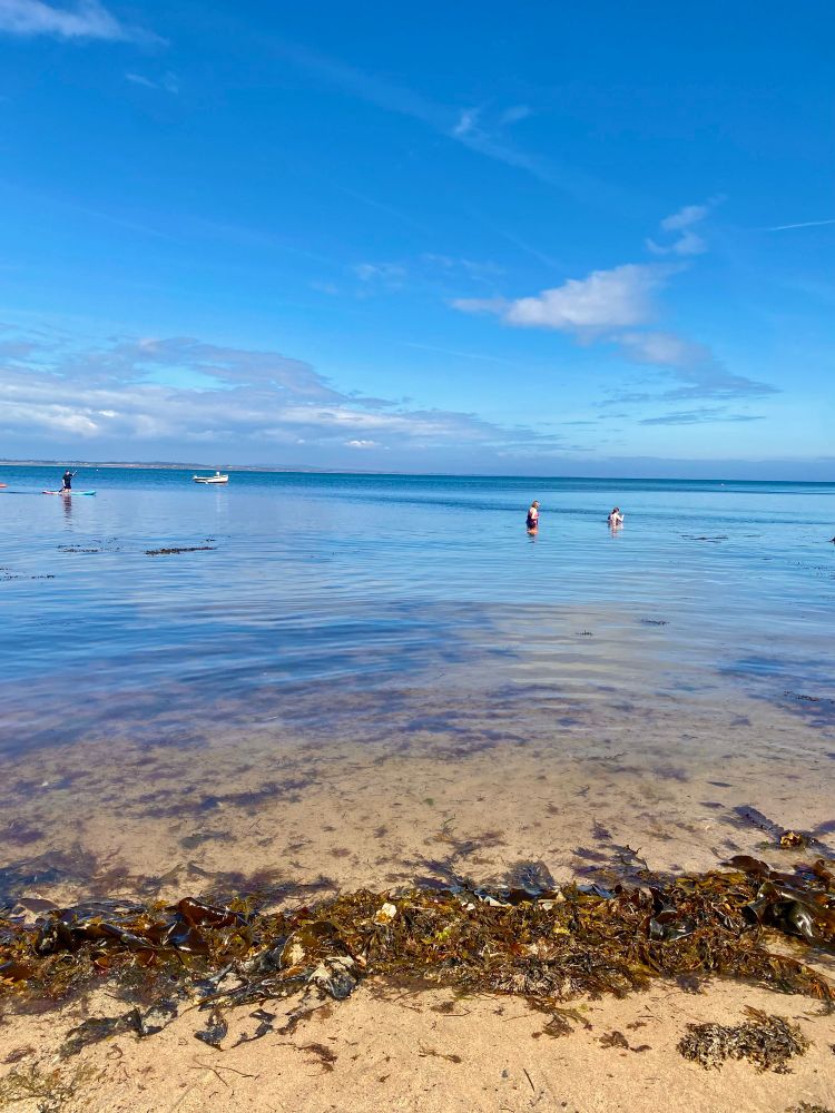 Shallow clear water with seaweed along the sandy shore, paddleboarders and swimmers in the distance beneath a wide blue sky with wispy clouds.