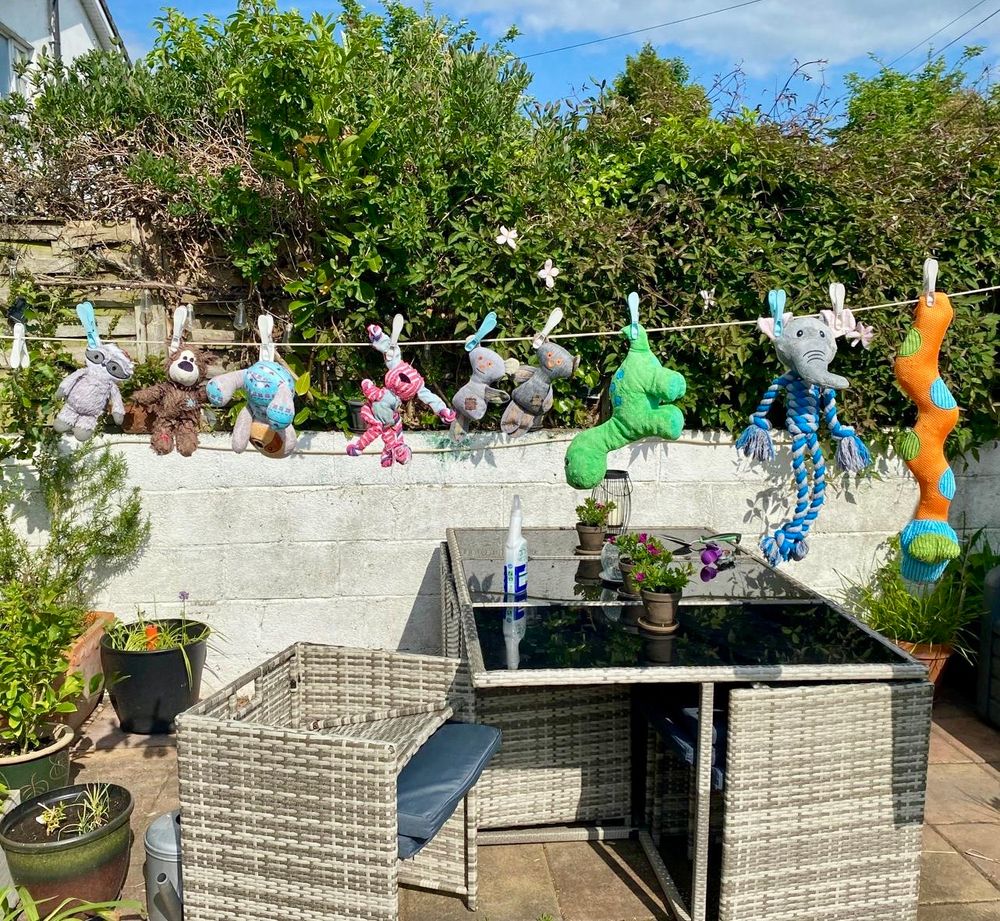 A bunch of fluffy toys and teddys  hanging out to dry on a washing line 