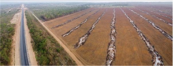 Photo by Alfredo Romero Muñoz