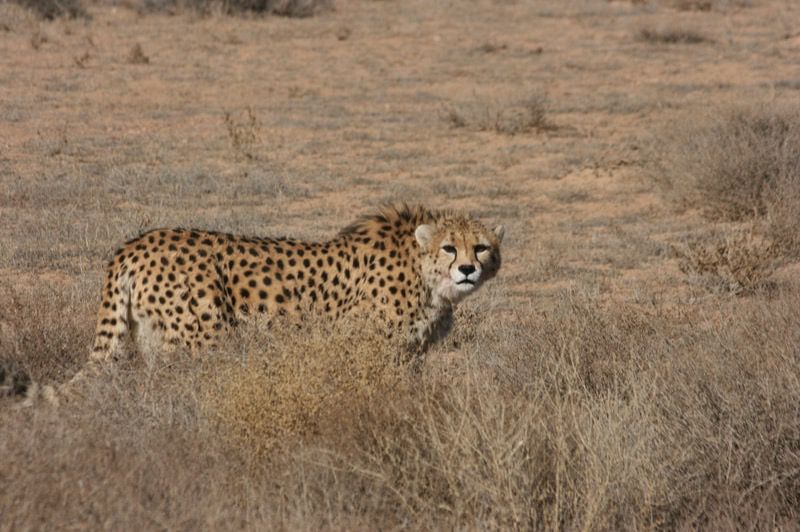 Photo by Arash Ghoddousi