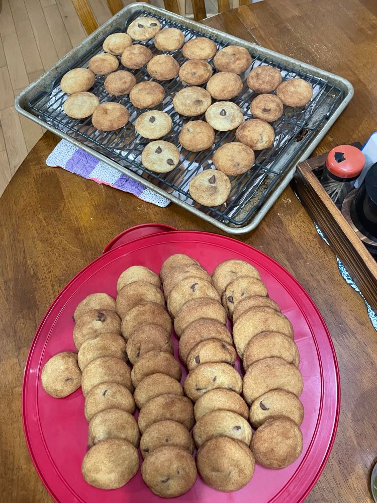 A photo of too many Chocolate chip snickerdoodles. I’ve made too many. Over 69 in total (not all pictured). 