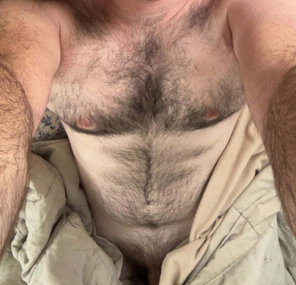 Selfie of my furry chest with a blanket half covering me, a hint of my dick is visible at the bottom of the pic 