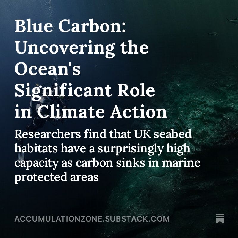 Blue Carbon: Uncovering the Ocean's Significant Role in Climate Action.
Researchers find that UK seabed habitats have a surprisingly high capacity as carbon sinks in marine protected areas.