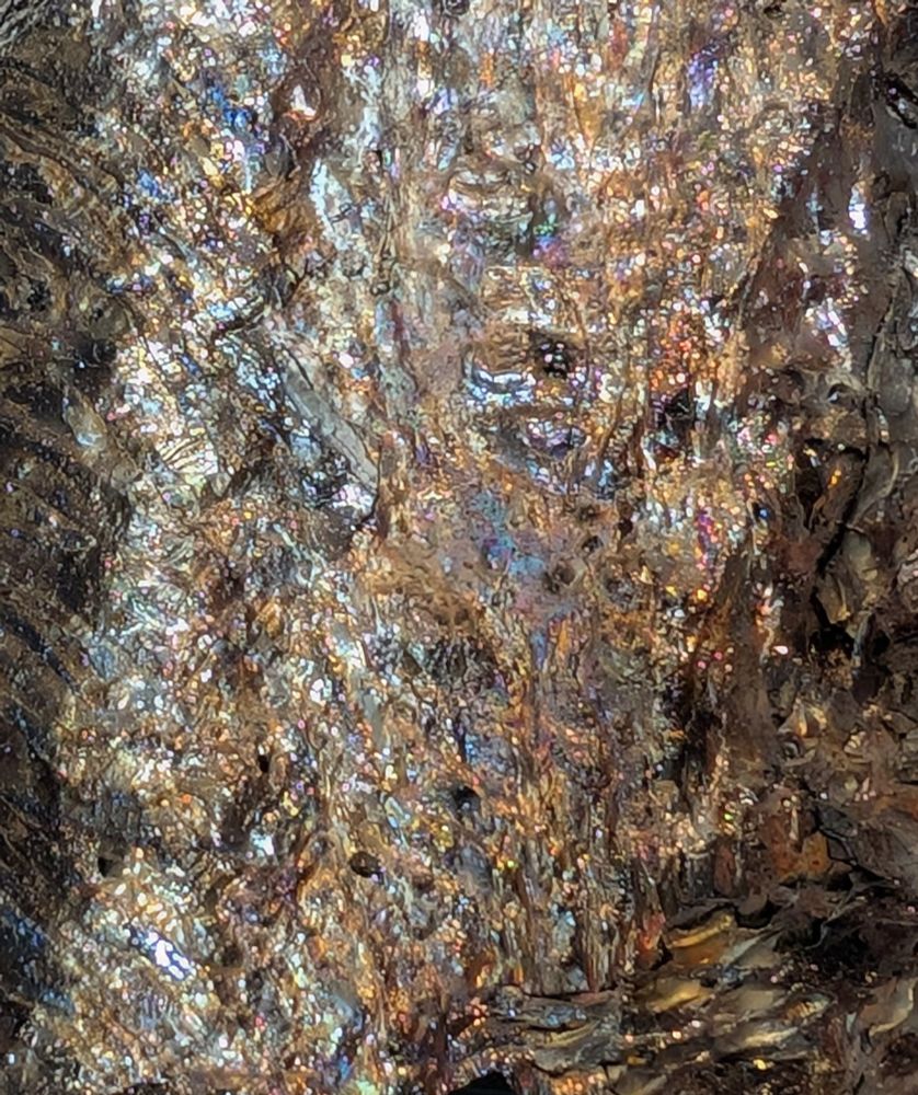 A shiny glassy skin on a rope of solidified pahoehoe basalt lava glistening blues and rust hues, silvery and dark brown.
