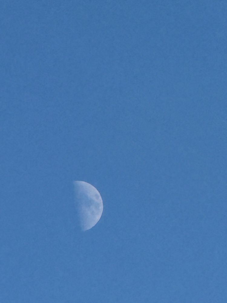 Moon. In a bright blue sky. 