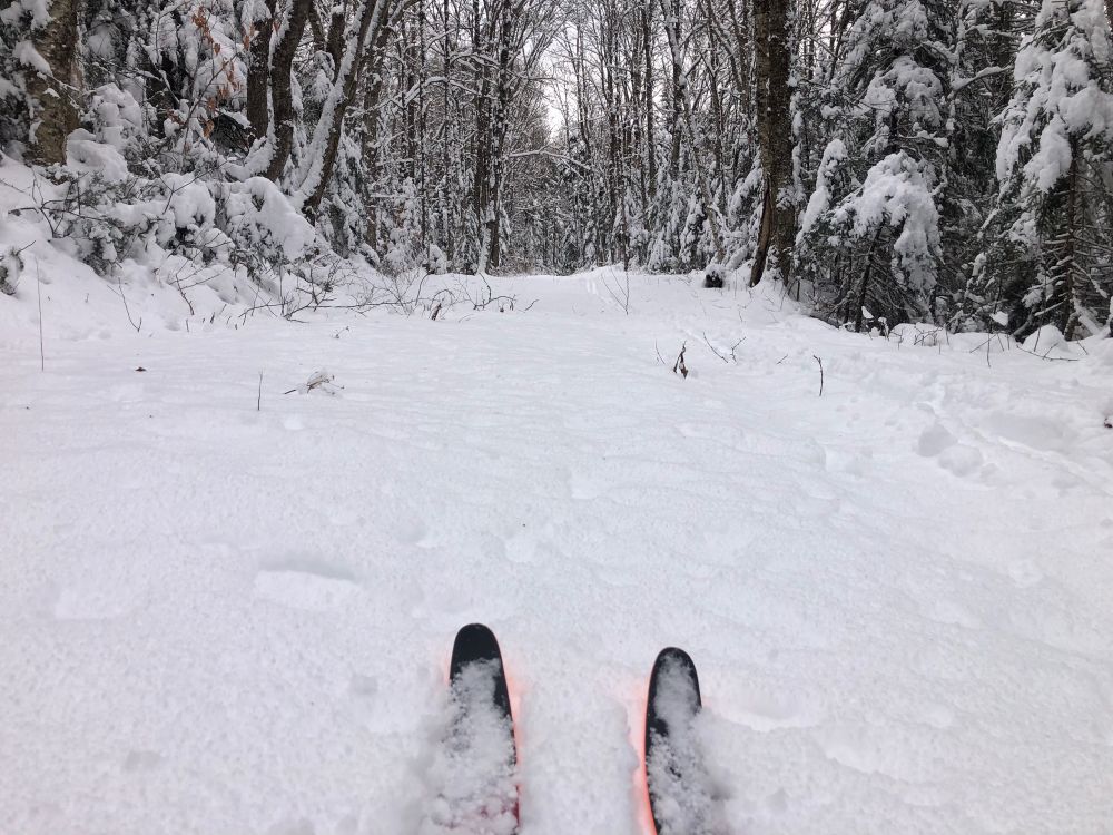 Two skis resting in powder 