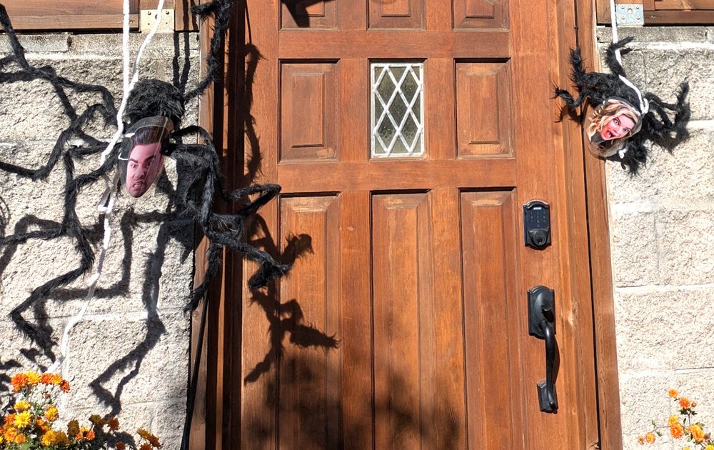 David and Alexis Rose but on spiders in front of a wooden door.