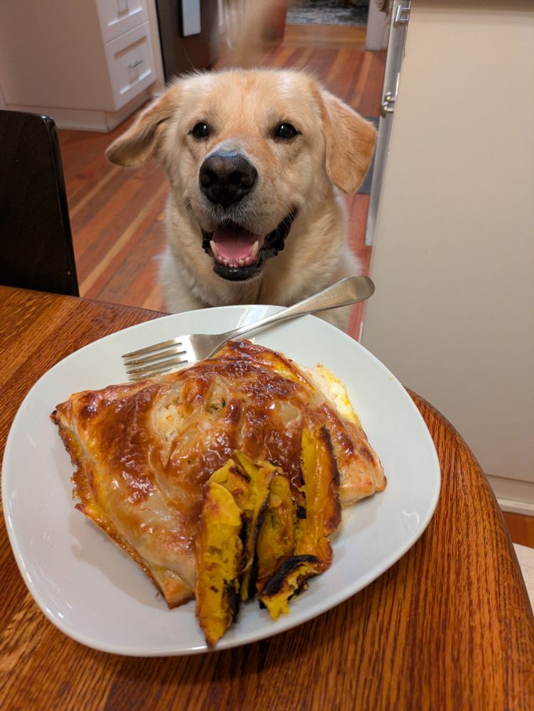 A golden dog looming over a plate of pastry and veggies. 
