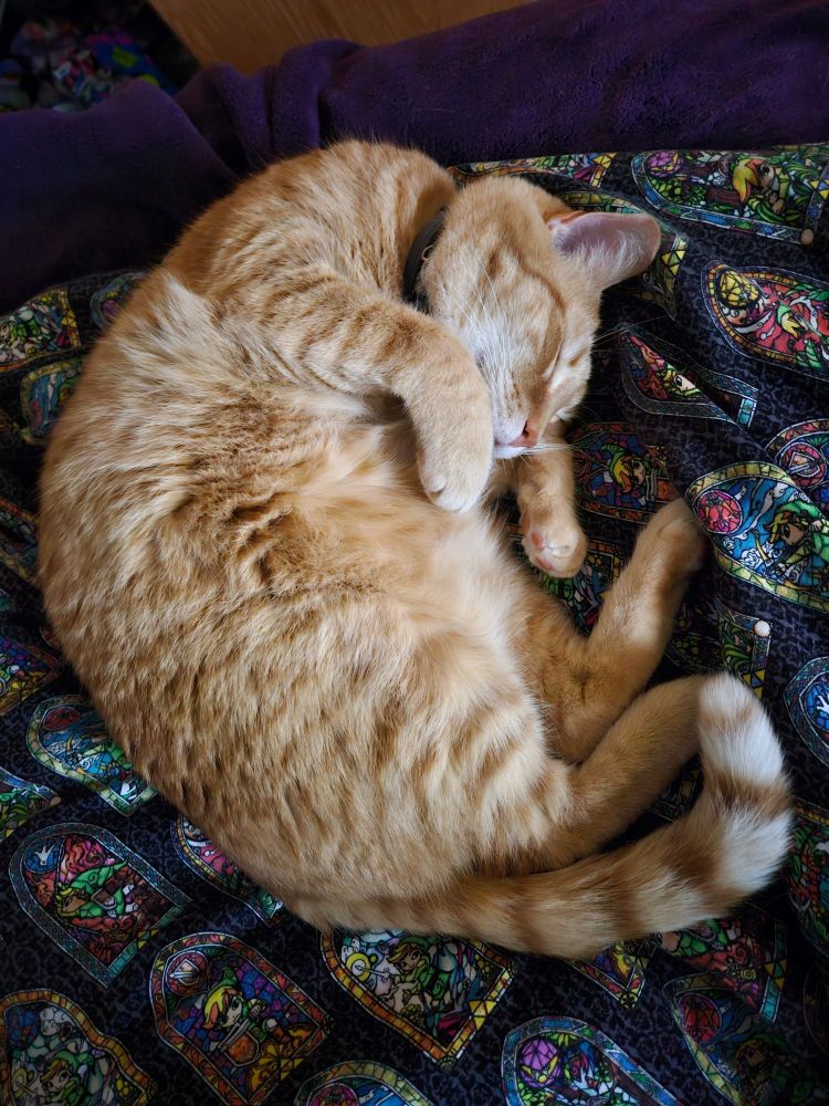 An orange tabby cat is laying on his side asleep on a colorful blanket.
