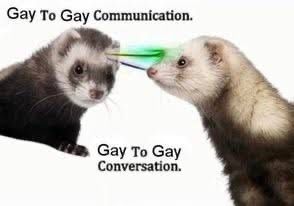 meme of two gay ferrets with green brain wave communication between them. text says “gay to gay communication gay to gay conversation.” i identity with the one on the right bc it has a slightly fearful expression. 