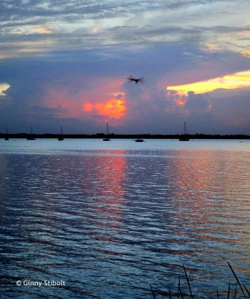 Photo of a sunrise over a river with moored sail boats in the distance. A variety of cloud formations cover most of the sky and some are colored red or gold and they are reflected in the water. A silhouette of a dragonfly is in front of the clouds.