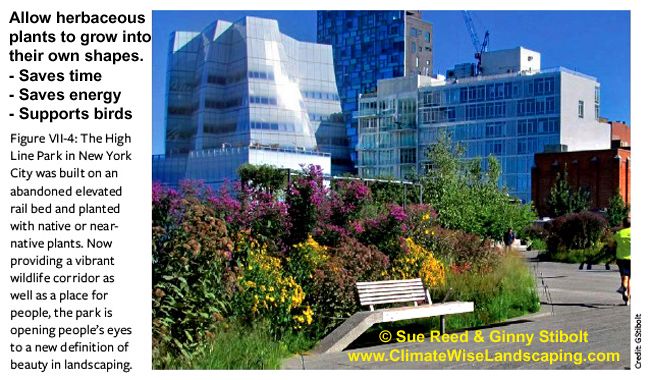 Photo in a book of a bench next to a paved walkway. There is  a mass of plants behind the bench, most ar in bloom with yellow flowers or purple flowers. Skyscrapers are in the background. 
Caption reads, "Figure VI-4: The High Line Park in New York City was built on an abandoned elevated rail bed and planted with native or near native plants. Now providing a vibrant wildlife corridor as well as a place for people, the park is opening people's eyes to a new definition of beauty in the landscape." 
Text above the caption reads, "Allow herbaceous plants to grow into their own shapes. 
- Saves time
- Saves energy
- Supports birds.
